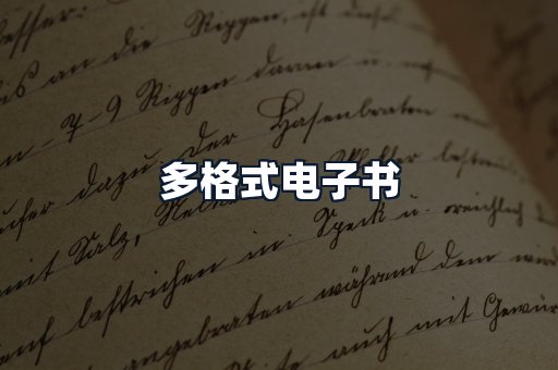 多格式电子书